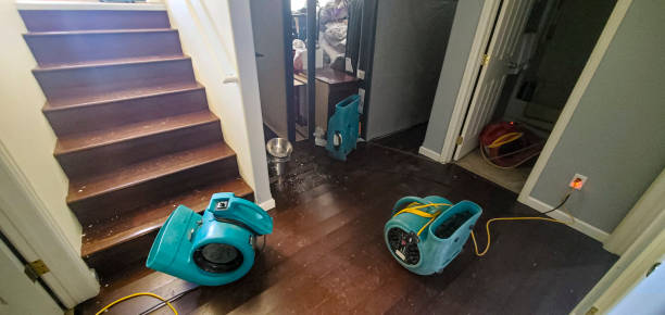 Best Water damage cleanup near me  in Wyomissing, PA