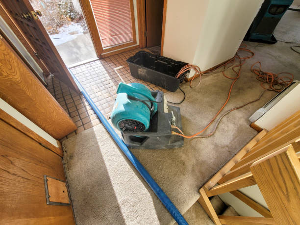Best Sewage cleanup and water damage restoration  in Wyomissing, PA