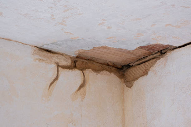 Best Fire Damage Restoration  in Wyomissing, PA