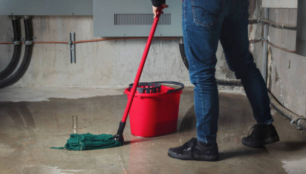 Best Carpet water damage restoration  in Wyomissing, PA