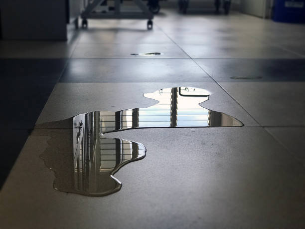 Best 24-hour water damage restoration  in Wyomissing, PA