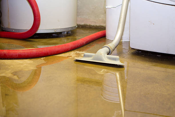 Best Emergency water damage restoration  in Wyomissing, PA